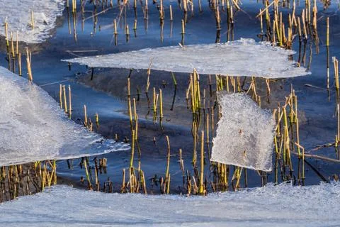 Ice Stock Photos