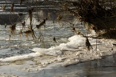 Ice Stock Photos