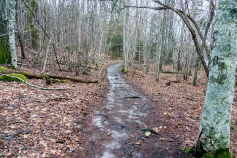 Ice 写真素材