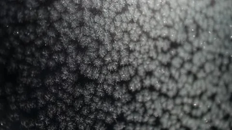 Ice Stock Photos