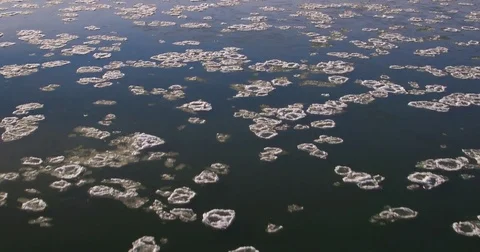 Ice pieces floating on the river surface Stock-Footage 79655477