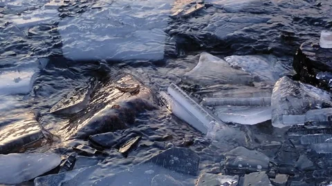 Ice pieces getting piled over shore stones Stock Footage 86030249
