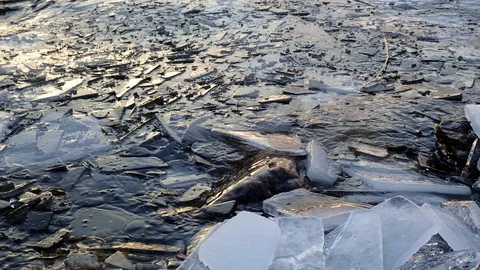 Ice pieces getting piled over shore stones Stock Footage 86174278