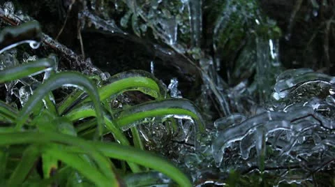 Ice plants 1 140112 Video stock 10610087