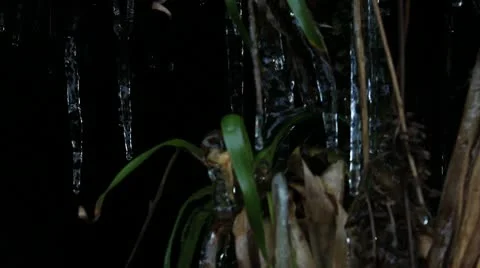 Ice plants 3 140112 Video stock 10610131