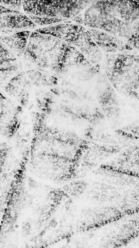Ice Plate Melting Vertical Time Lapse Black and White Transition Stock Footage 337328307