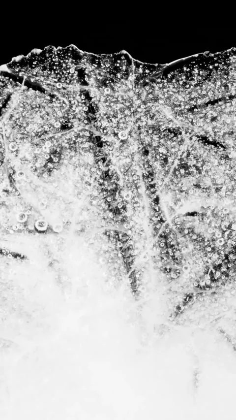 Ice Plate Melting Vertical Time Lapse Black and White Transition Stock Footage 337328309
