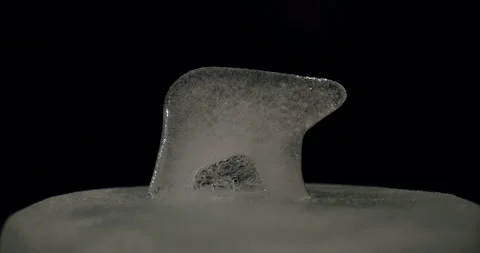 Ice Polar Bear Side View Melts 45 seconds Stock Footage 171175543