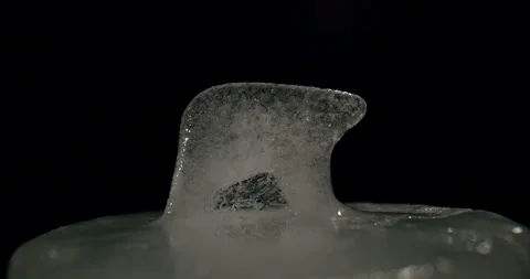 Ice Polar Bear Side View Melts 30 seconds Stock Footage 171176298