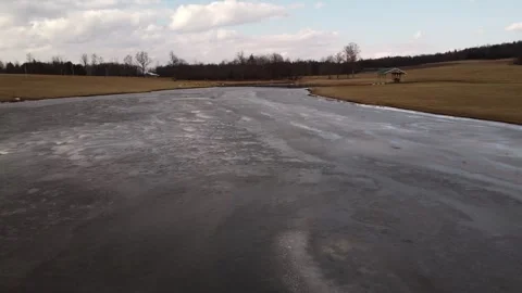 Ice on pond with geese Stock Footage 266182304