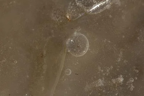 Ice in a pool in the background Stock Photos