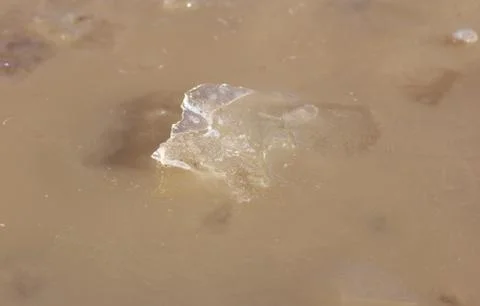 Ice in a pool in the background Stock Photos