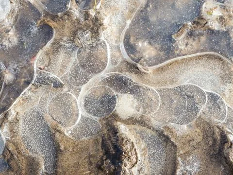 Ice on a puddle Stock Photos