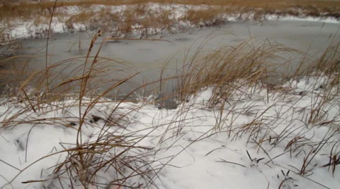 Ice Puddle Slide 02 Stock Footage 958948