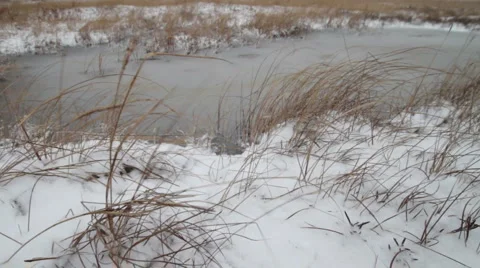 Ice Puddle Slide 03 Stock Footage 958934
