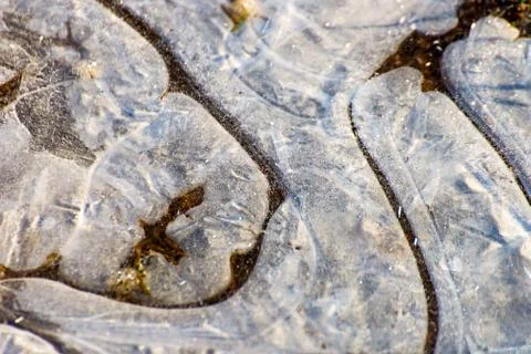 Ice puddle on the way Stock Photos