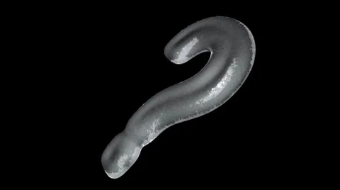 Ice Question (HD) Stock-Footage 7139393