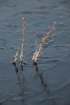Ice reflection abstract design Stock Photos