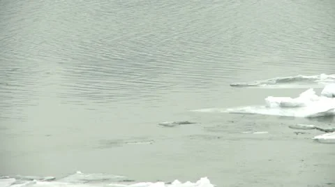 Ice on river, close up of ice floats 5 Stock Footage 10819866