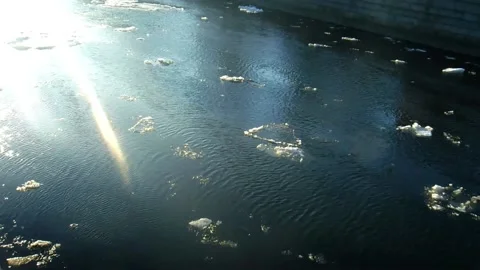 Ice in a River Stock Footage 239002073