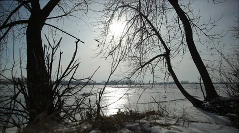 Ice on the river, trees, dolly 3 Stock Footage 34957260