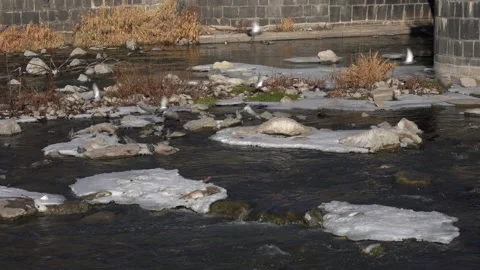 Ice River Water flows and Pigeon Flying Stock Footage 234429317