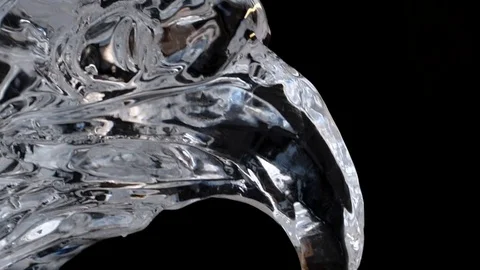 Ice sculpture. closeup of ice eagle head. black background Stock Footage 128388704