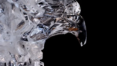 Ice sculpture. closeup of ice eagle head. black background Stock Footage 128388955