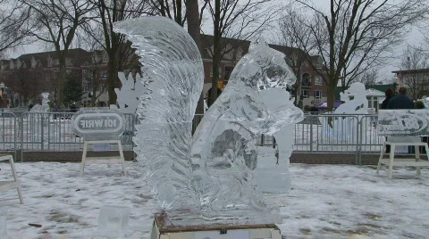 Ice Sculptures Stock Footage