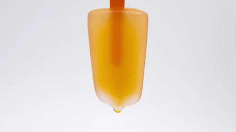 ICE sent Stock Footage 220705478