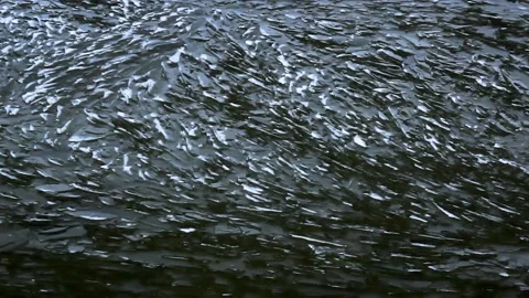 Ice Shards Moving With The Waves Stock Footage 107317622