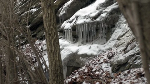 Ice Sickle Through Trees w Snow Stock Footage 90625901