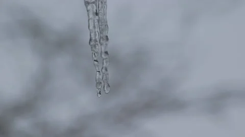 Ice sickle time lapse Stock Footage 148594639