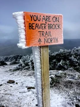 Ice on Sign Stock Photos