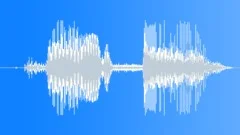 ICE Skate blade metal scrape 05 Sound Effect