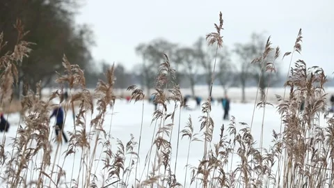 Ice skating Stock Footage 147665625