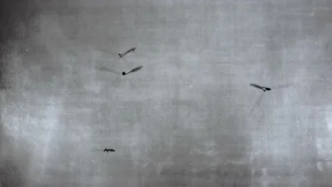 Ice Skating Stock Footage 233212314