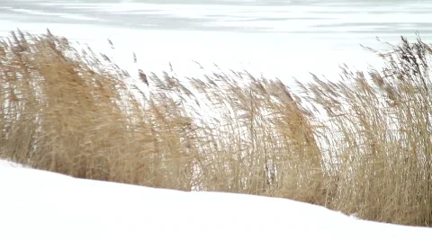 Ice skating, ice sailing Stock Footage 628418