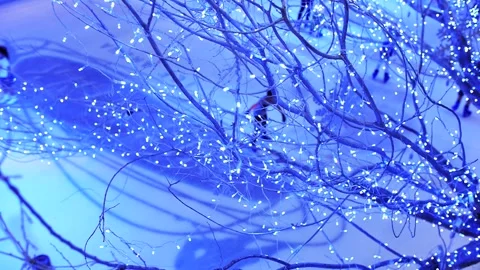 Ice Skating Under Light Decorations Tree Stock Footage 247591181
