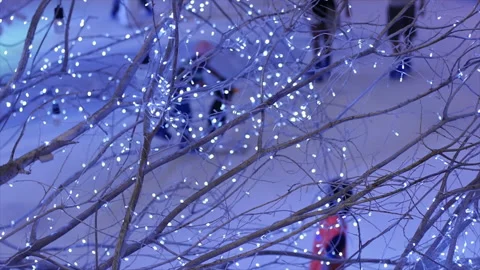 Ice Skating Under the Lights Decorated Trees Stock Footage 162561976