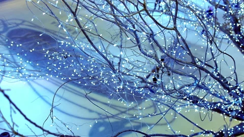 Ice Skating Under the Lights Decorated Trees Stock Footage 162562543