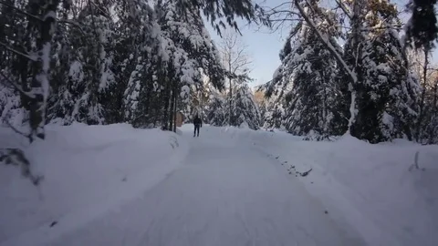 Ice skating on wooded trails 2 Stock Footage