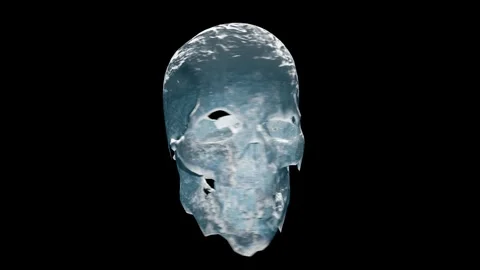 Ice Skull Stock Footage 248738081