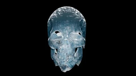 Ice Skull Stock Illustration