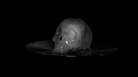 Ice skull that melts Stock Footage 102054160