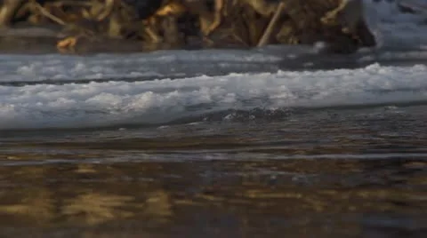 Ice Slush In River Current Sliding By Frozen Bank Stock Footage 12419084