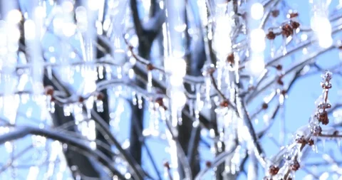 Ice sprouts in the cold spring Stock Footage 106271898