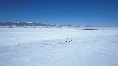 Ice steppe in winter. All under the snow Stock Footage 232984390