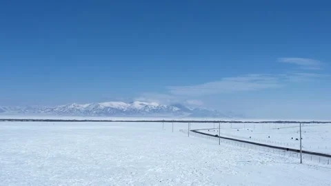 Ice steppe in winter. All under the snow Stock Footage 232984499