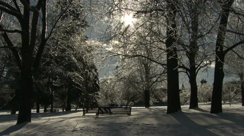 Ice Storm Aftermath Stock-Footage 34451238